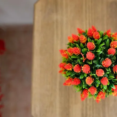 Rebeca Appartement *